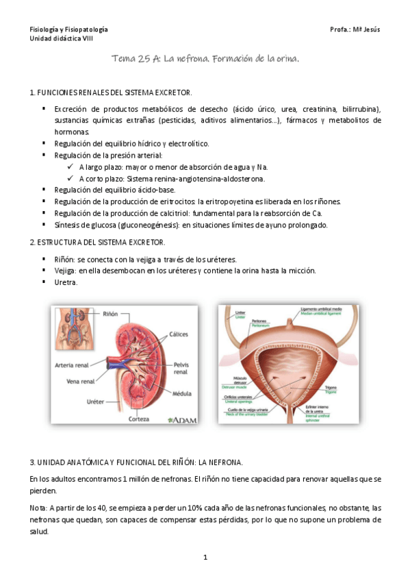 Miniatura del documento Tema-25-A.pdf
