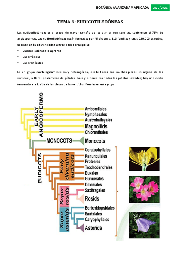 Miniatura del documento Tema-6.pdf