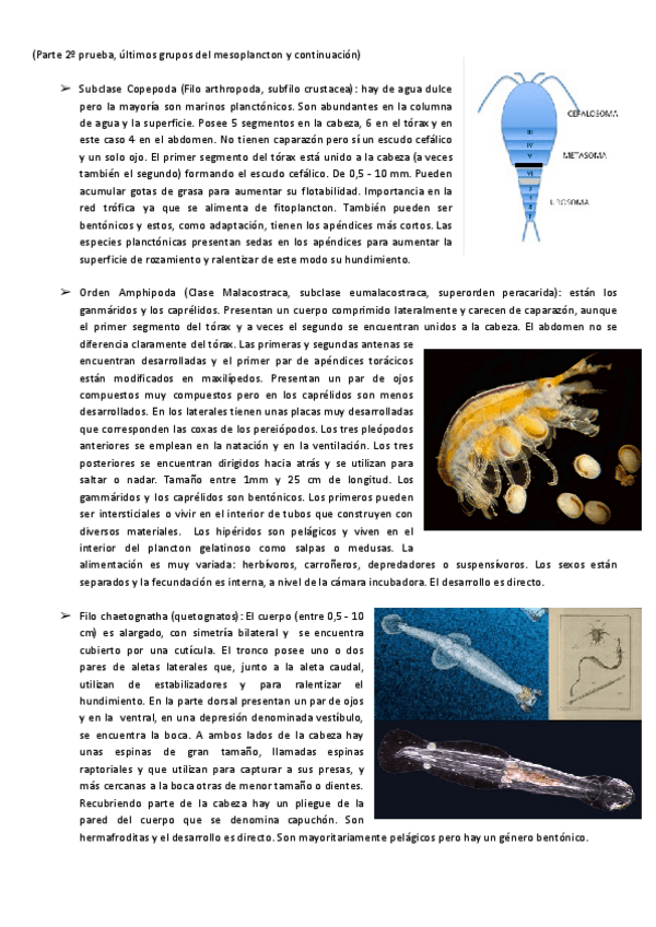 Miniatura del documento Zoologia-2-parcial.pdf