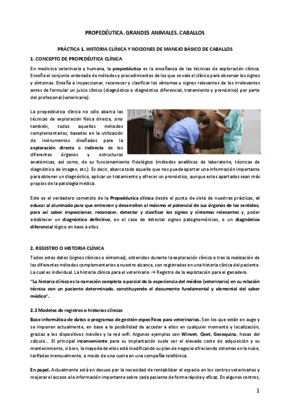 Miniatura del documento Teoria-practicas-CABALLOS.pdf