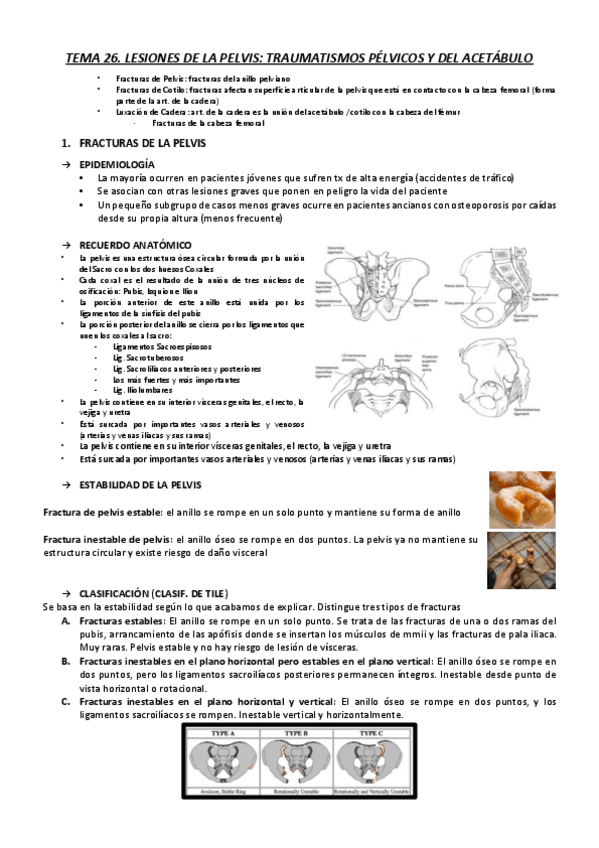 Miniatura del documento T26.pdf