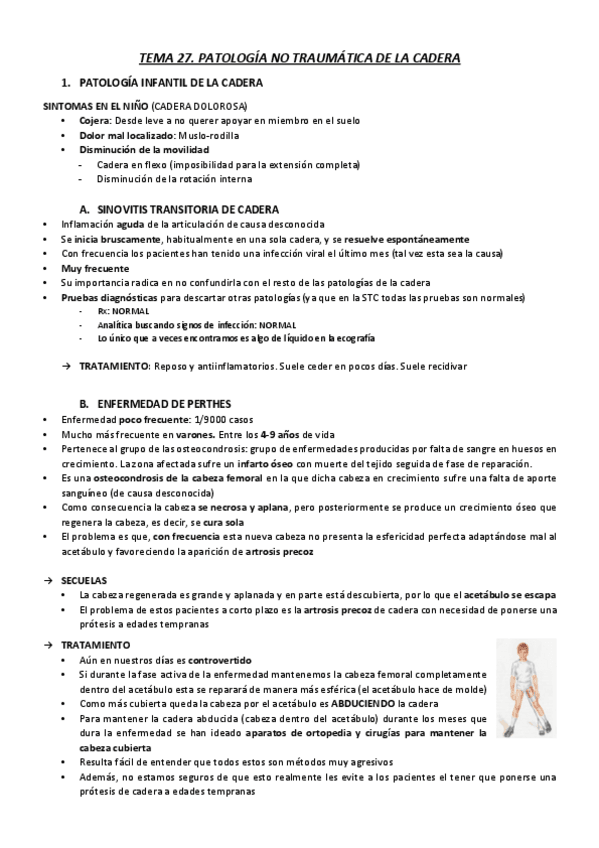 Miniatura del documento T27.pdf