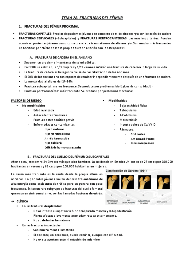 Miniatura del documento T28.pdf
