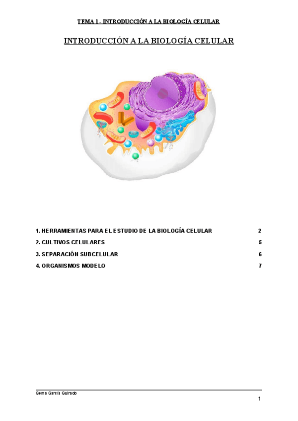 Miniatura del documento TEMA-1-INTRODUCCION-BIOLOGIA-CELULAR.pdf