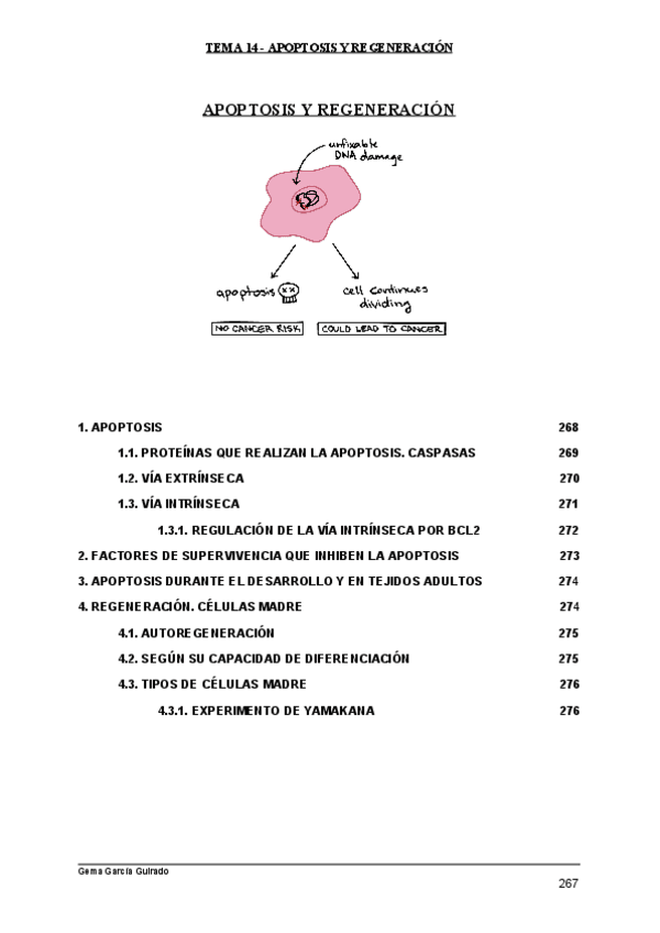 Miniatura del documento TEMA-14-APOPTOSIS-Y-REGENERACION-BIOLOGIA-CELULAR.pdf