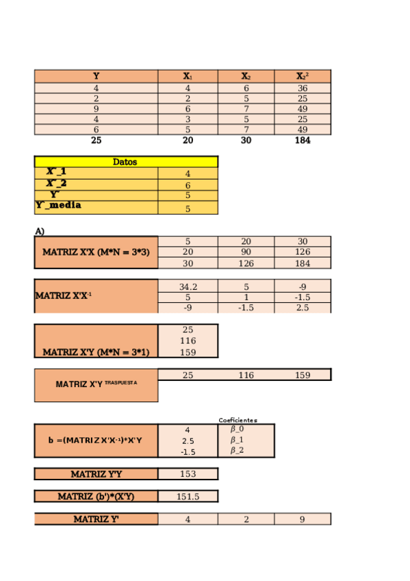 Miniatura del documento Ejercicios-Econometria.xlsx