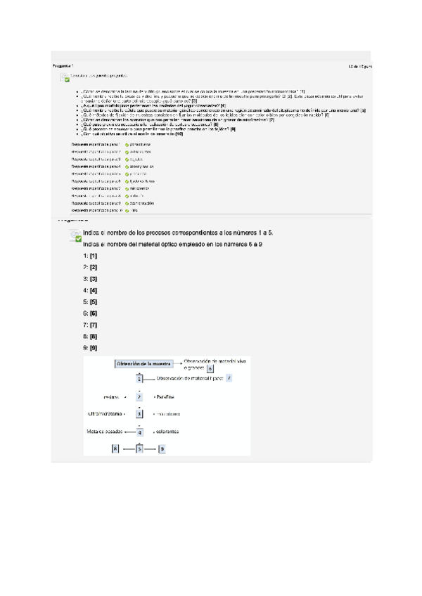 Miniatura del documento seminario-1.pdf
