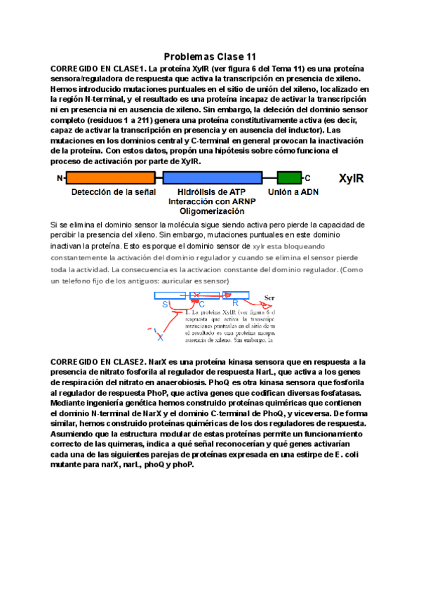 Miniatura del documento Clase-11.pdf