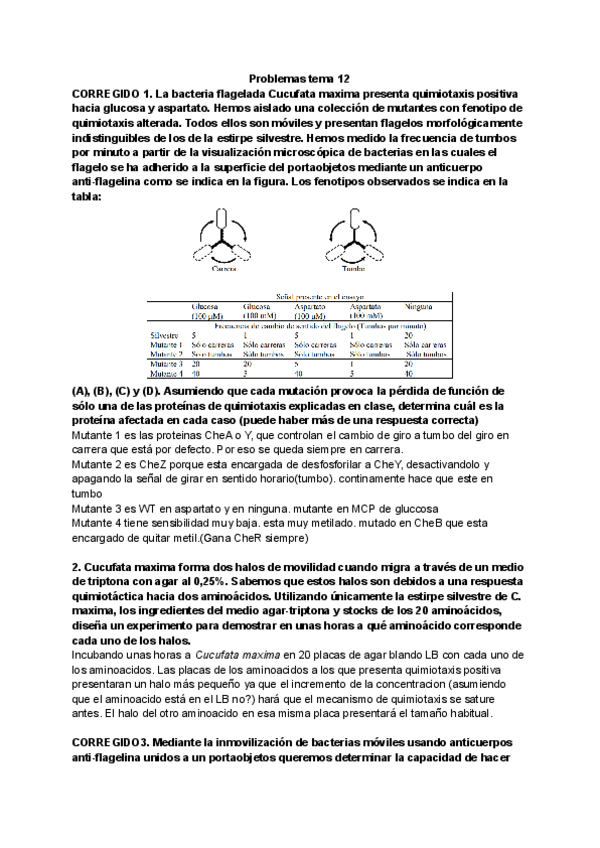 Miniatura del documento Clase-12.pdf