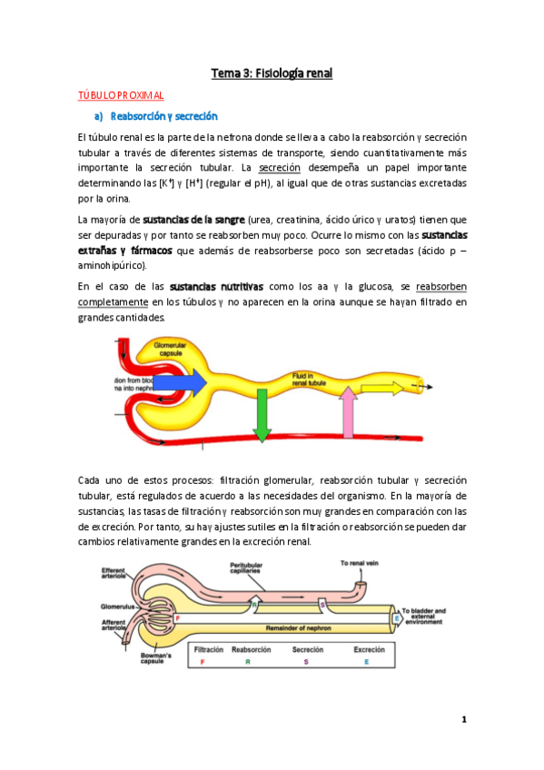 Miniatura del documento Fisiologia-Tema-3.pdf