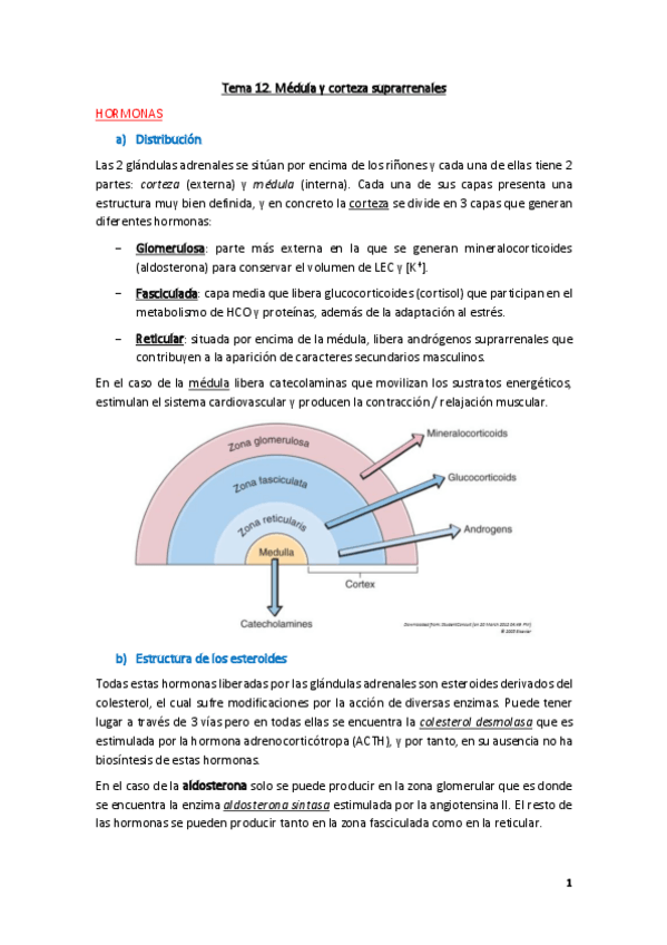 Miniatura del documento Fisiologia-Tema-12.pdf