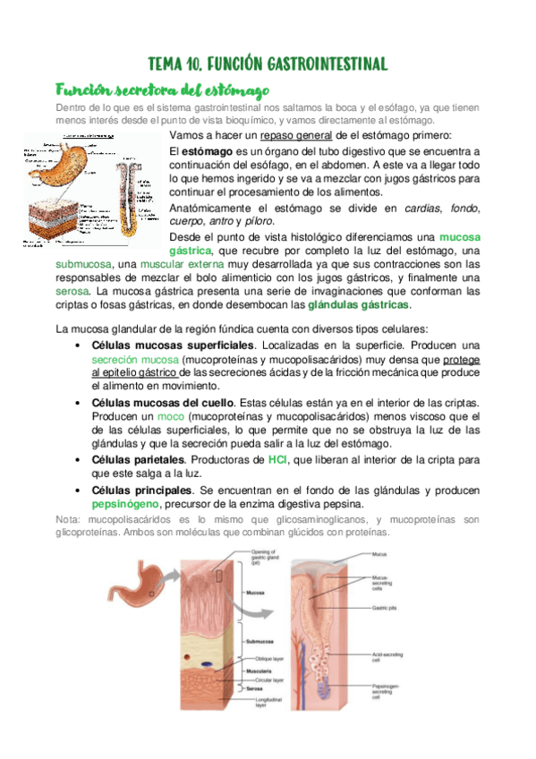 Miniatura del documento TEMA-10.pdf