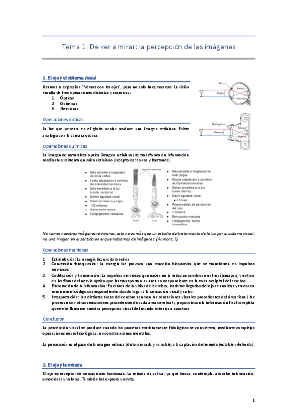 Miniatura del documento Temas-Completos-Teoria-de-la-Imagen.pdf