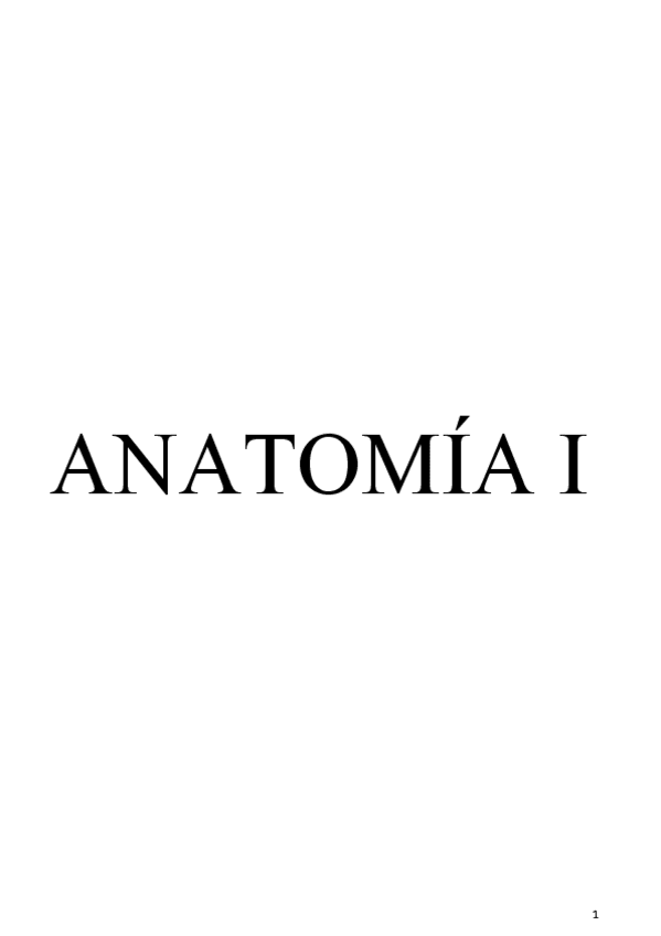 Miniatura del documento APUNTES-ANATOMIA-BEA.pdf