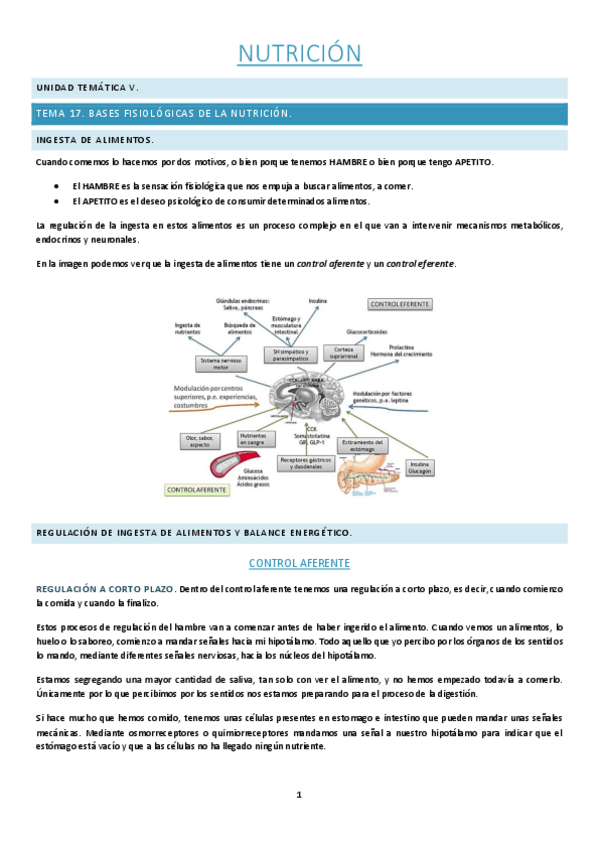 Miniatura del documento Tema-17.pdf