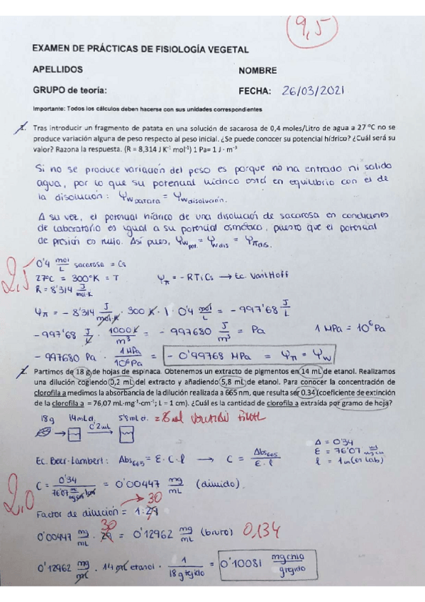 Miniatura del documento EXAMEN-PRACTICAS-FV-20202021.pdf
