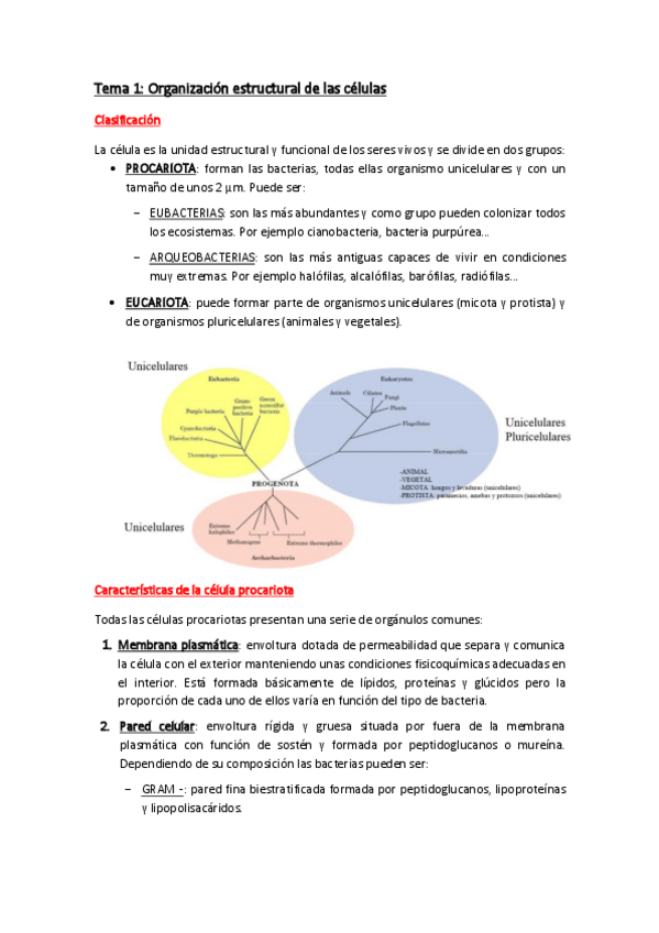 Miniatura del documento Tema-1.pdf