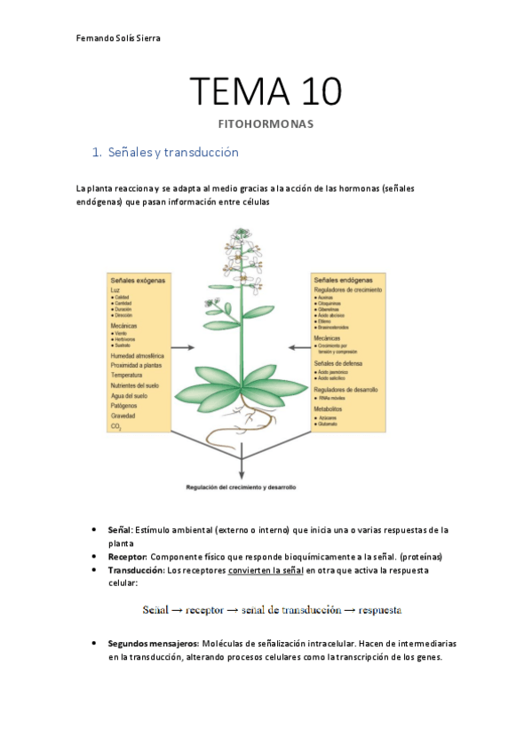 Miniatura del documento Apuntes-TEMA-10-Fitohormonas.pdf