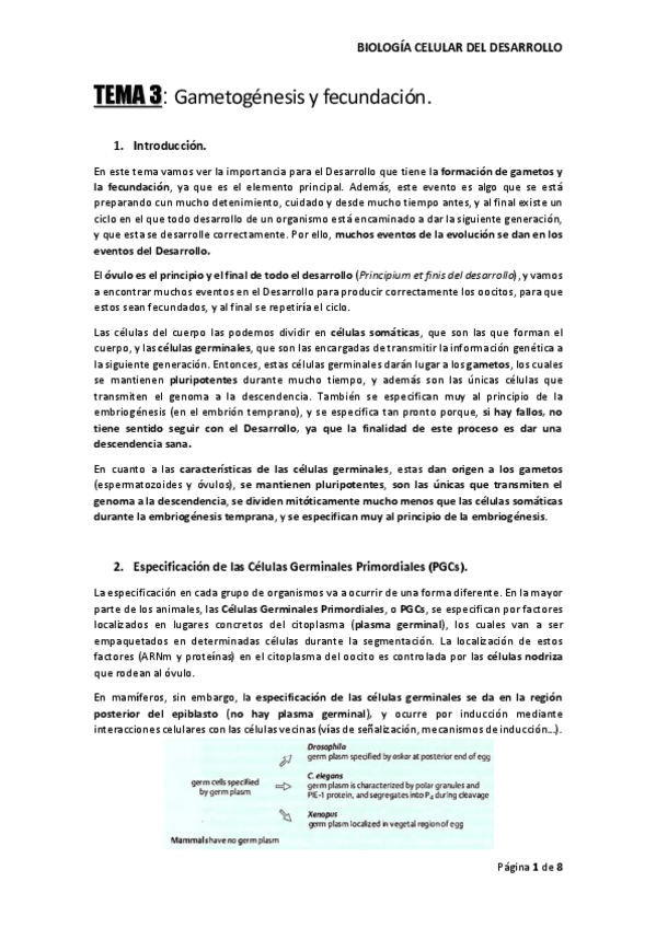 Miniatura del documento TEMA-3-BIO-DESARROLLO.pdf