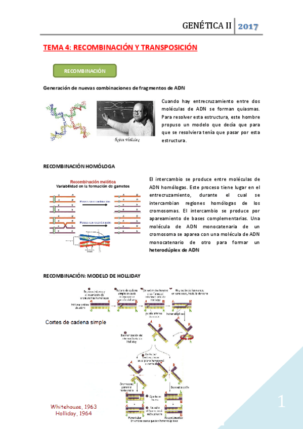 Miniatura del documento TEMA 4 MIO.pdf