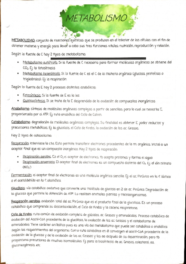 Miniatura del documento Metabolismo-.pdf