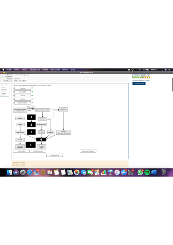 Miniatura del documento Examen-practico-histologia-201920.pdf