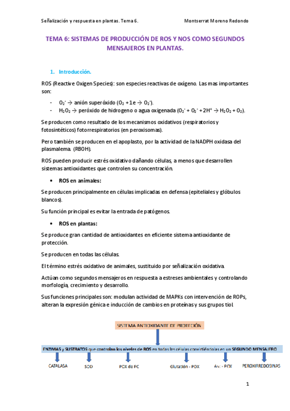 Miniatura del documento TEMA-6-SENALIZACION.pdf
