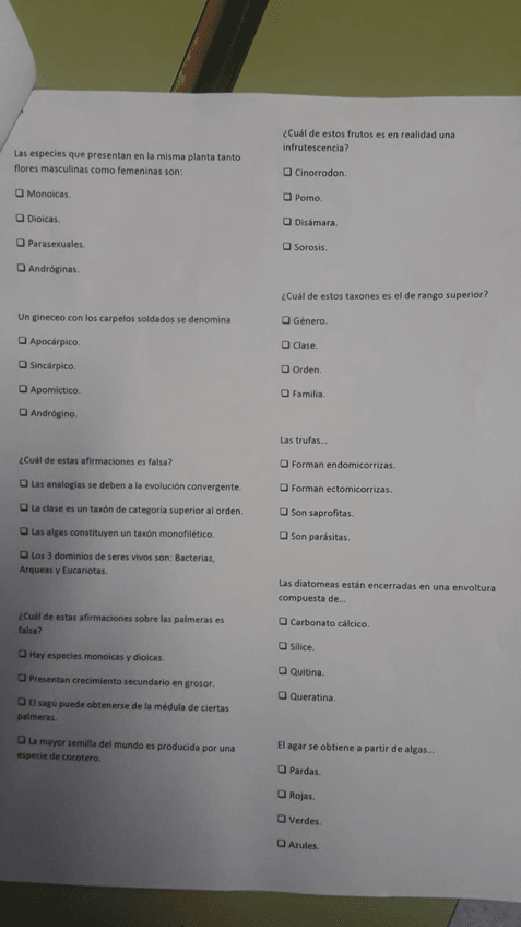 Miniatura del documento IMG-20180611-WA0019.jpg