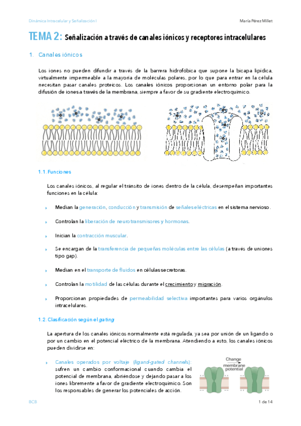 Miniatura del documento TEMA-2-SENALIZACION.pdf