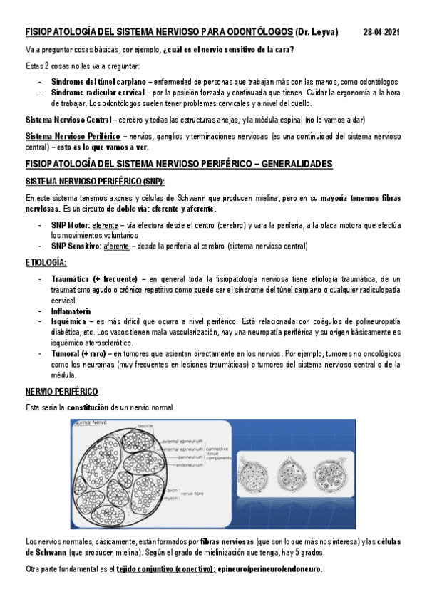 Miniatura del documento 26.pdf