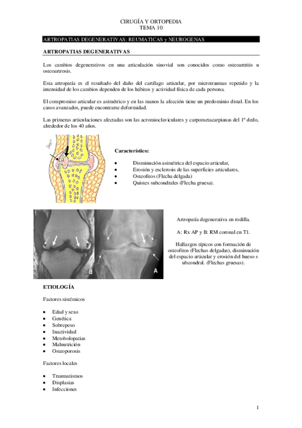 Miniatura del documento Tema-10-cirugia.pdf