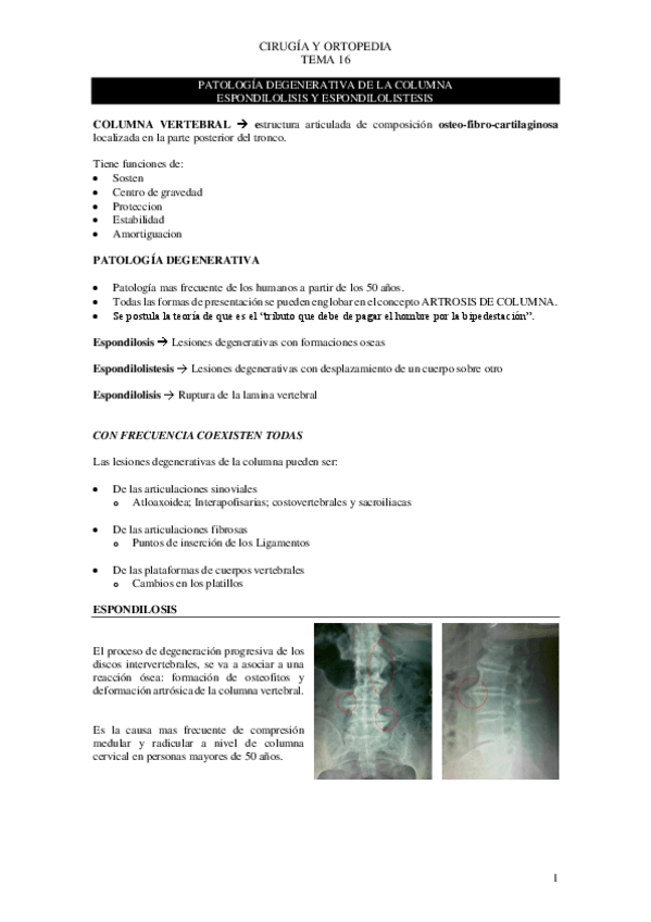 Miniatura del documento Tema-16-cirugia.pdf