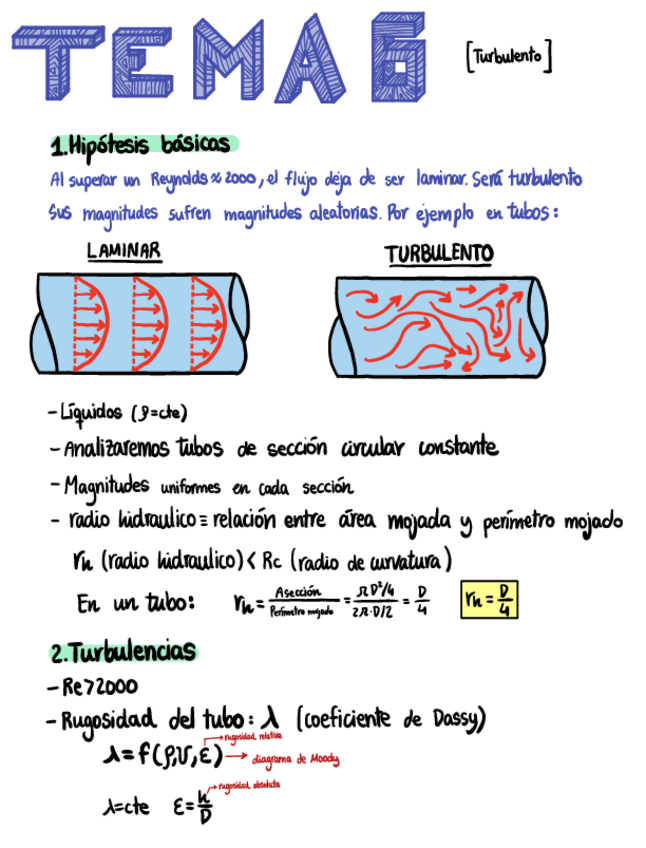 Miniatura del documento T6-Turbulento.pdf