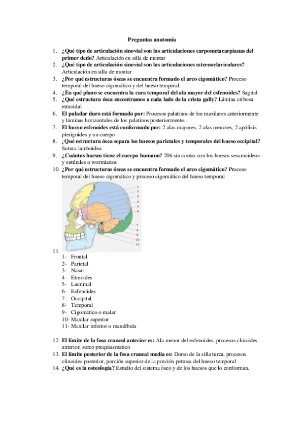 Miniatura del documento Preguntas-anatomia.pdf