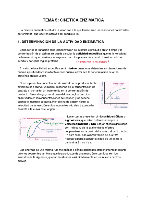 Miniatura del documento Tema-5-BQE-.pdf