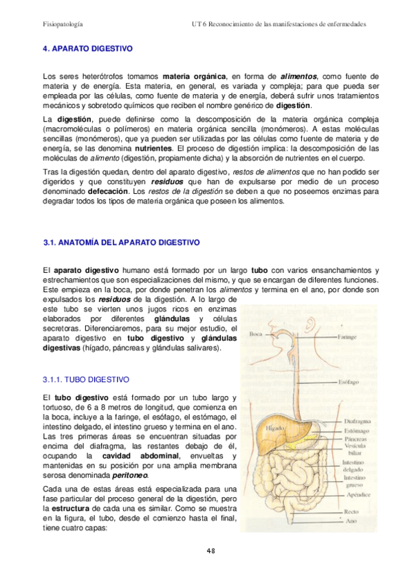 Miniatura del documento UT-6-Rec-manifestaciones-enf-V-Digestivo-Apuntes-2020.pdf
