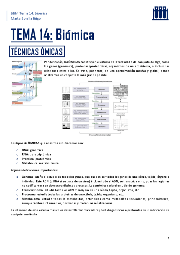 Miniatura del documento BBM-resumen-tema-14.pdf