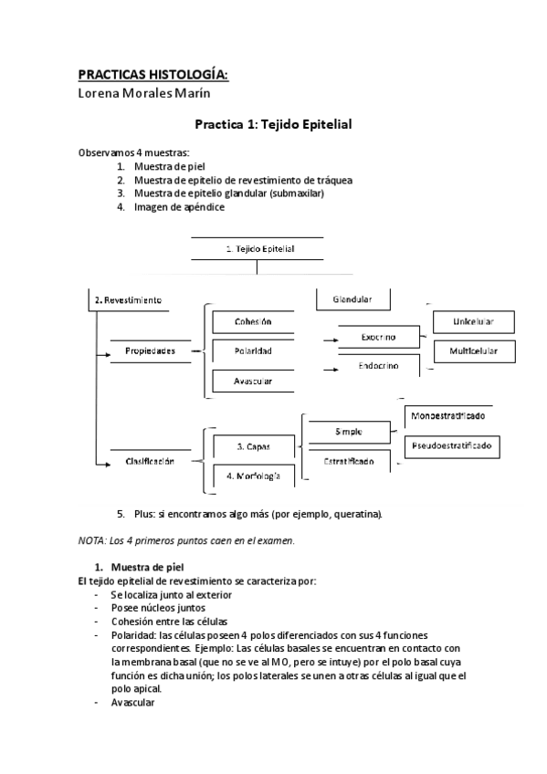 Miniatura del documento PRACTICAS DEFINITIVO.pdf