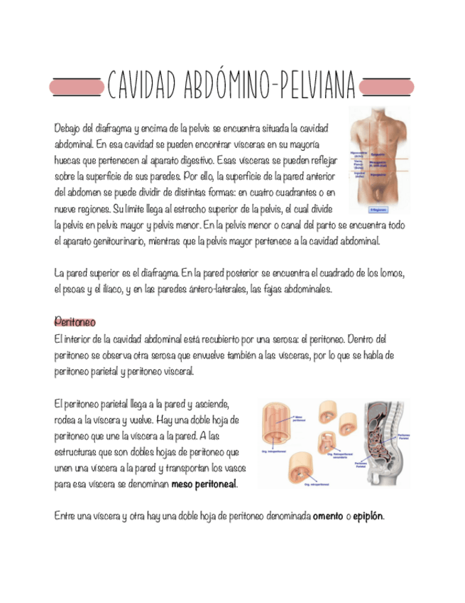 Miniatura del documento Modulo-08-Cavidad-abdomino-pelviana.pdf