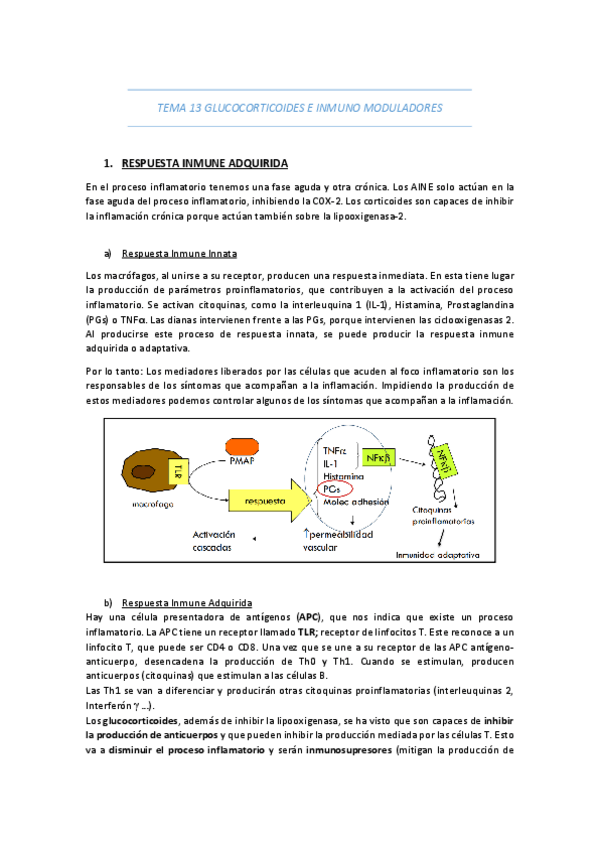 Miniatura del documento TEMA-13-GLUCOCORTICOIDES-E-INMUNO-MODULADORES.pdf