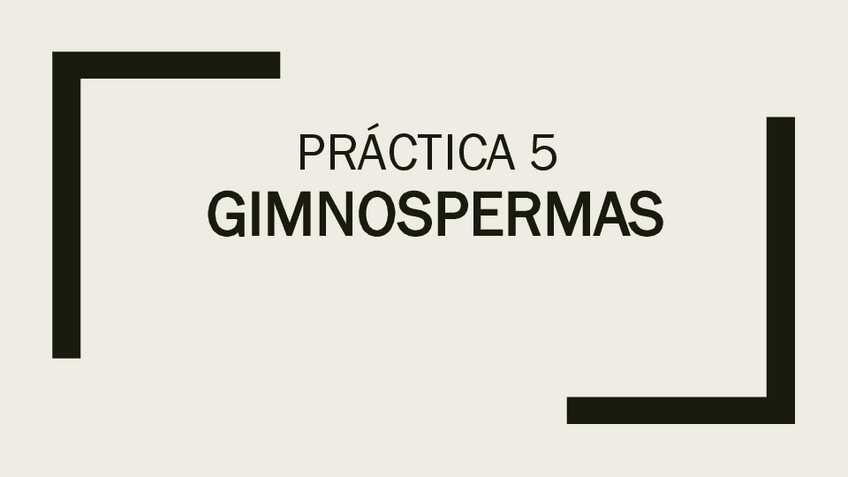 Miniatura del documento Practica-5-GIMNOSPERMAS.pdf