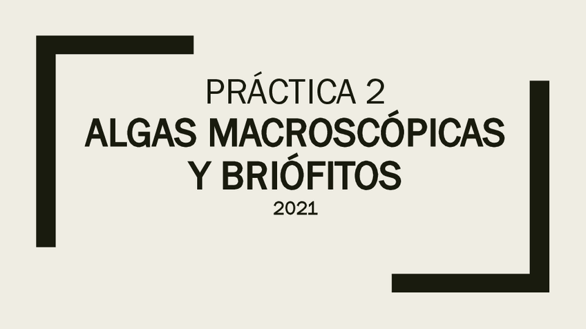 Miniatura del documento PRATICA-2-ALGAS-MACROSCOP.pdf