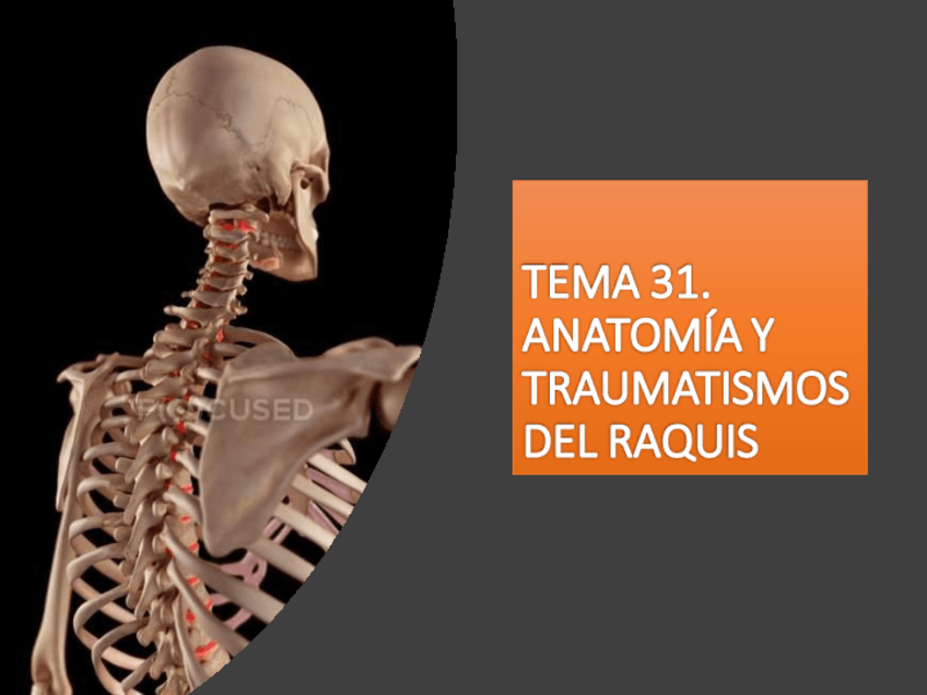 Miniatura del documento T31.pdf