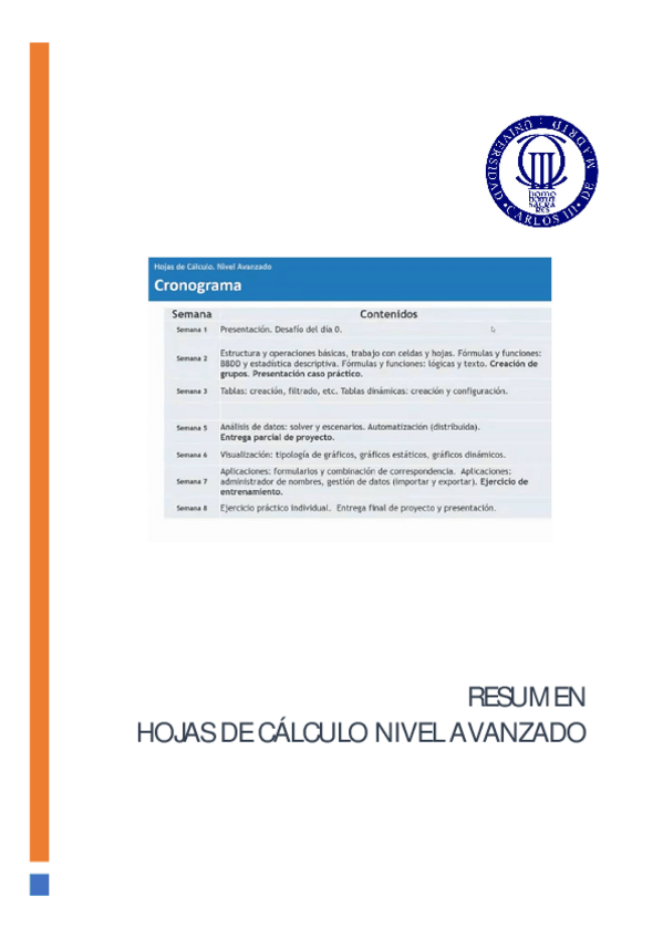 Miniatura del documento RESUMEN.pdf