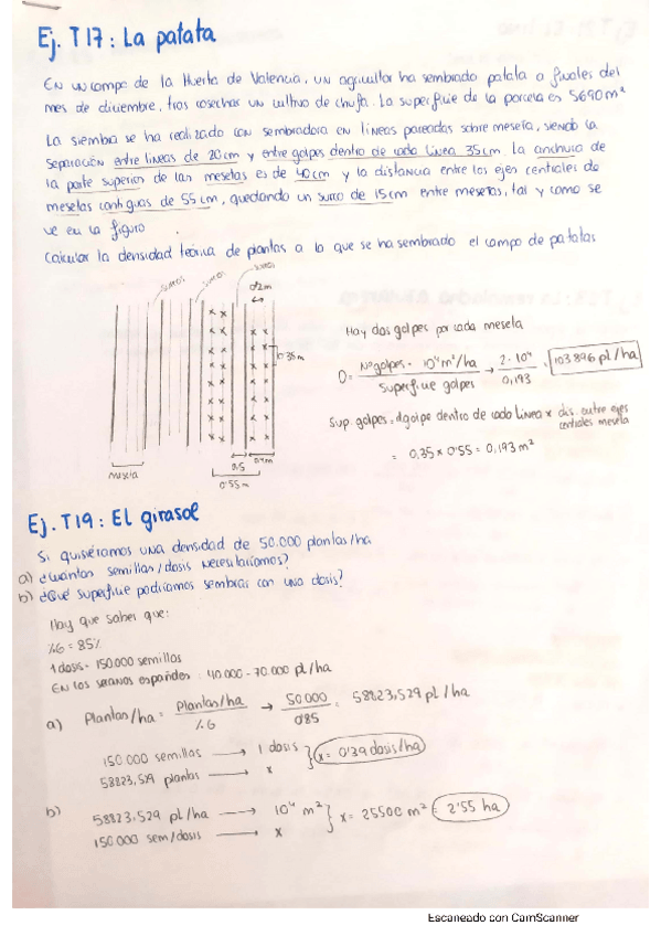 Miniatura del documento CamScanner-05-19-2021-09.pdf