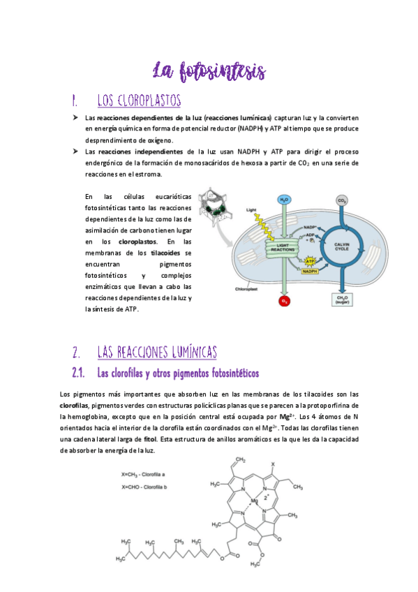 Miniatura del documento Temas-6a11-MyR-2do-parcial.pdf