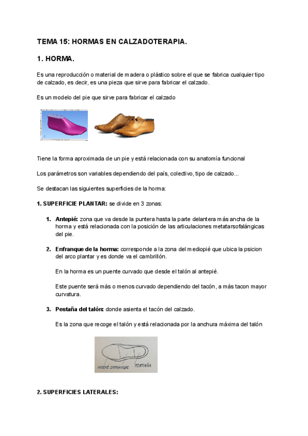 Miniatura del documento TEMA-15-HORMAS-EN-CALZADOTERAPIA-1.pdf