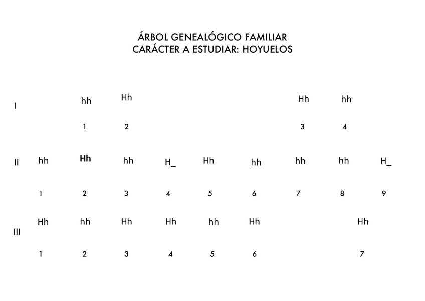 Miniatura del documento ARBOL-GENEALOGICO.pdf