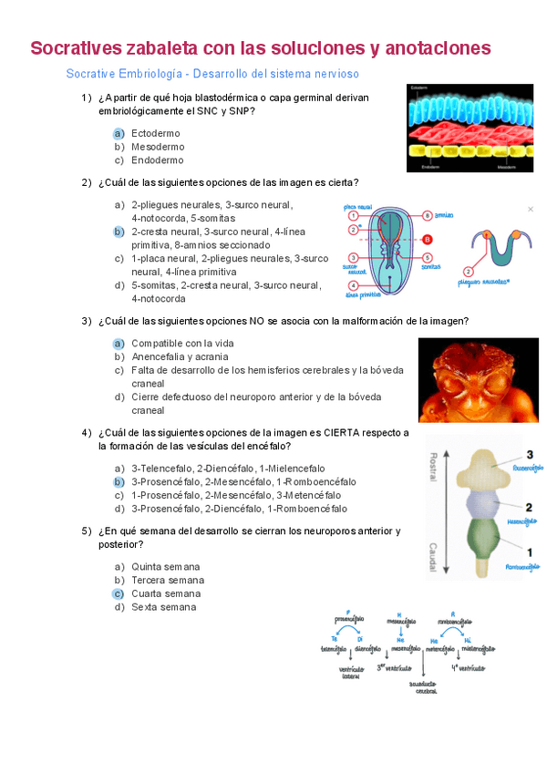 Miniatura del documento Soluciones-socratives-zabaleta-embrio.pdf
