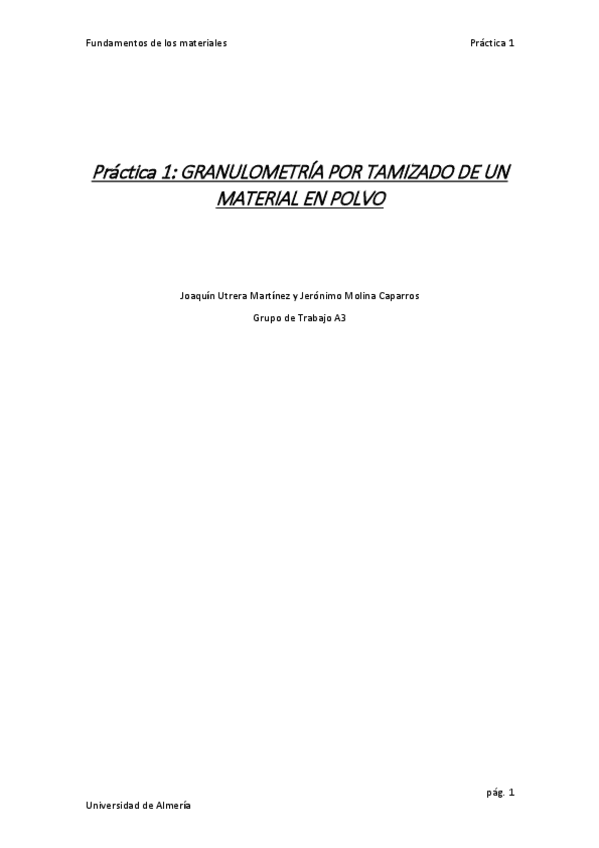 Miniatura del documento Practica 1 informe.pdf